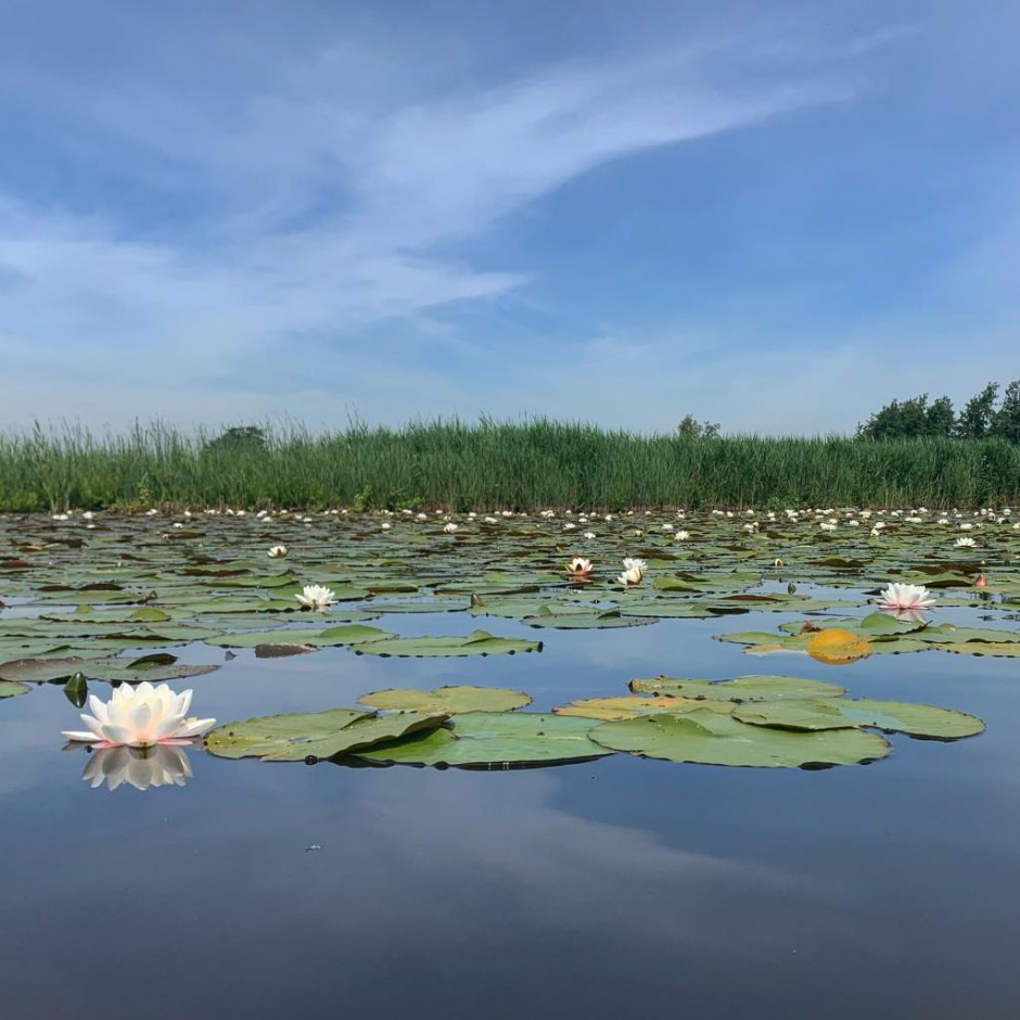 Wandelroute Malta Nieuwkoopse Plassen