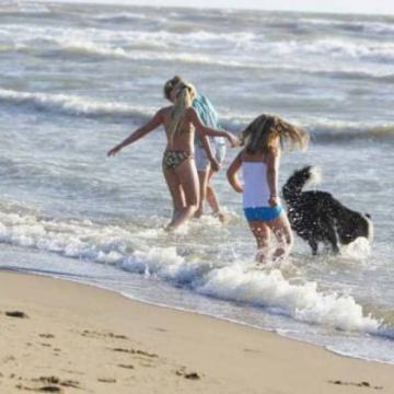 Veel bezoekers uit Nederland, België en Duitsland deze zomer