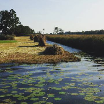 Nieuwkoop, waard om te ontdekken!