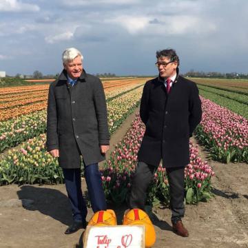 Tulip festival feestelijk geopend