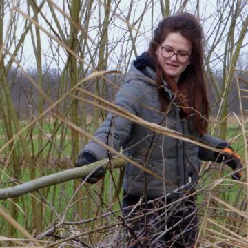 Hout voor Nieuwkoop 750 jaar van eigen bodem