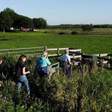 Wandel mee voor het goede doel met de vierde Otterloop