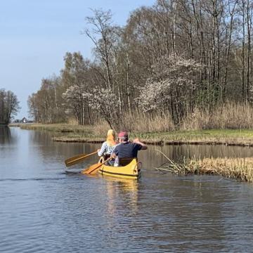 Nieuwkoopse Plassen behoort tot de mooiste sup- en kanoplekken in Nederland