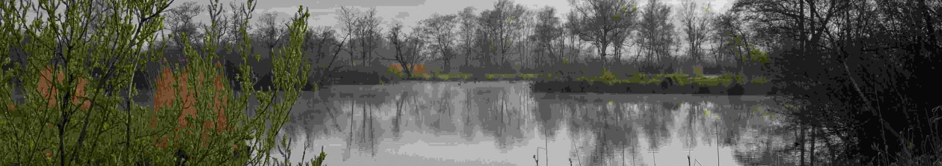 Bikkelvaartochten op de Nieuwkoopse Plassen
