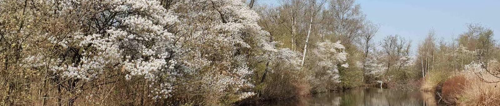Wandeling: De Haeck ontwaakt uit zijn winterslaap