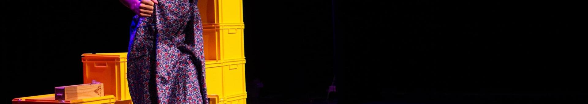 Theater: Mark van Vliet - Peter zonder Wolf