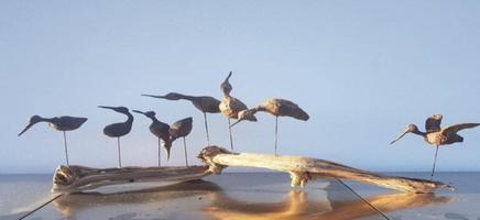 Workshop IJsvogels/steltlopertjes maken