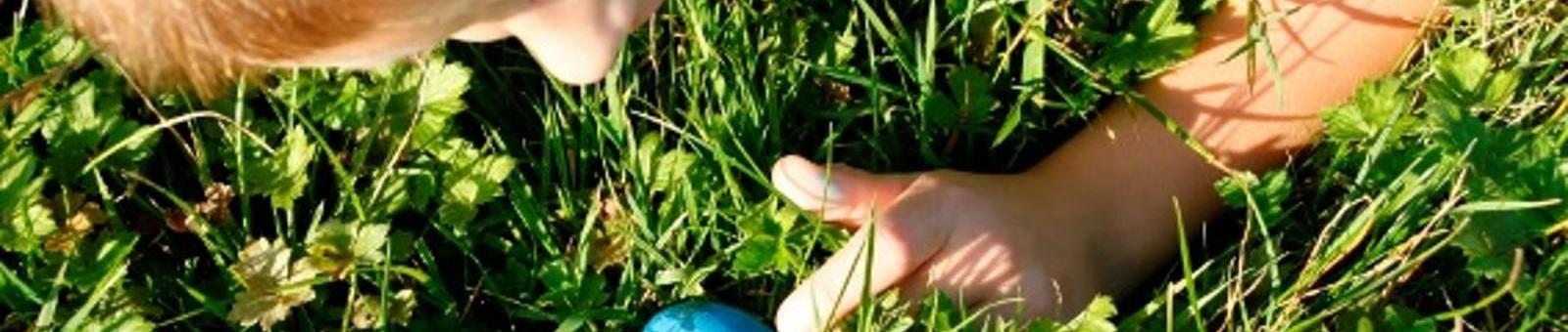 OERRR Varen naar Paaseiland - Nieuwkoopse Plassen