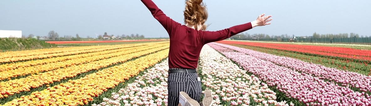 Bollenstreek & Keukenhof