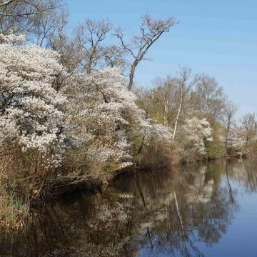 Wandeling: De Haeck ontwaakt uit zijn winterslaap
