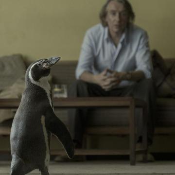 Film: the Penguin Lessons