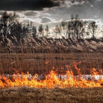 Expositie Turf en Riet