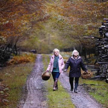 Film: Quand vient l'automne
